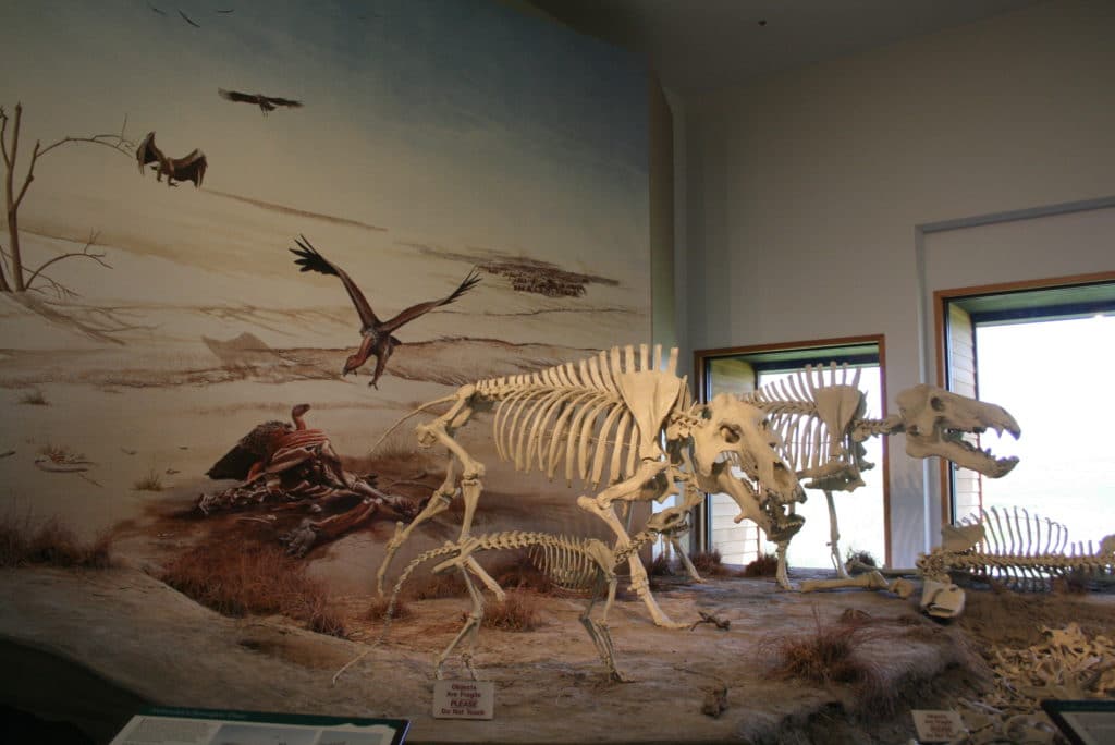 Agate Fossil Beds National Monument Visitor Center | Nebraska National Parks