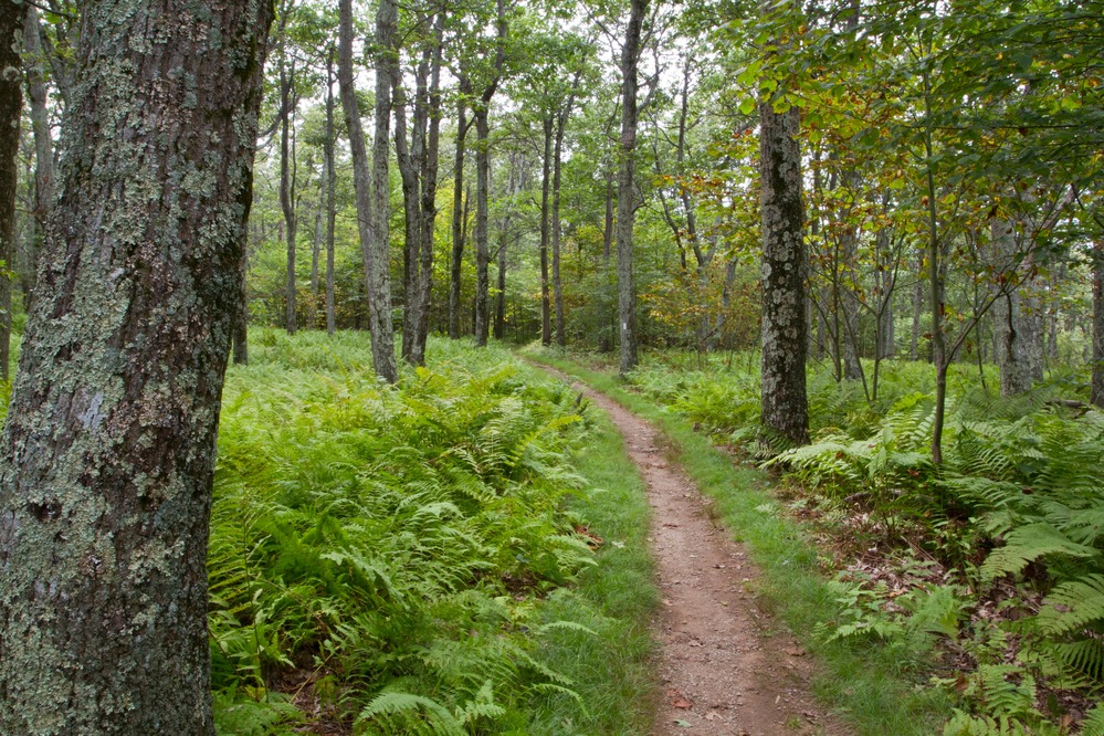Appalachian National Scenic Trail | New Hampshire National Parks