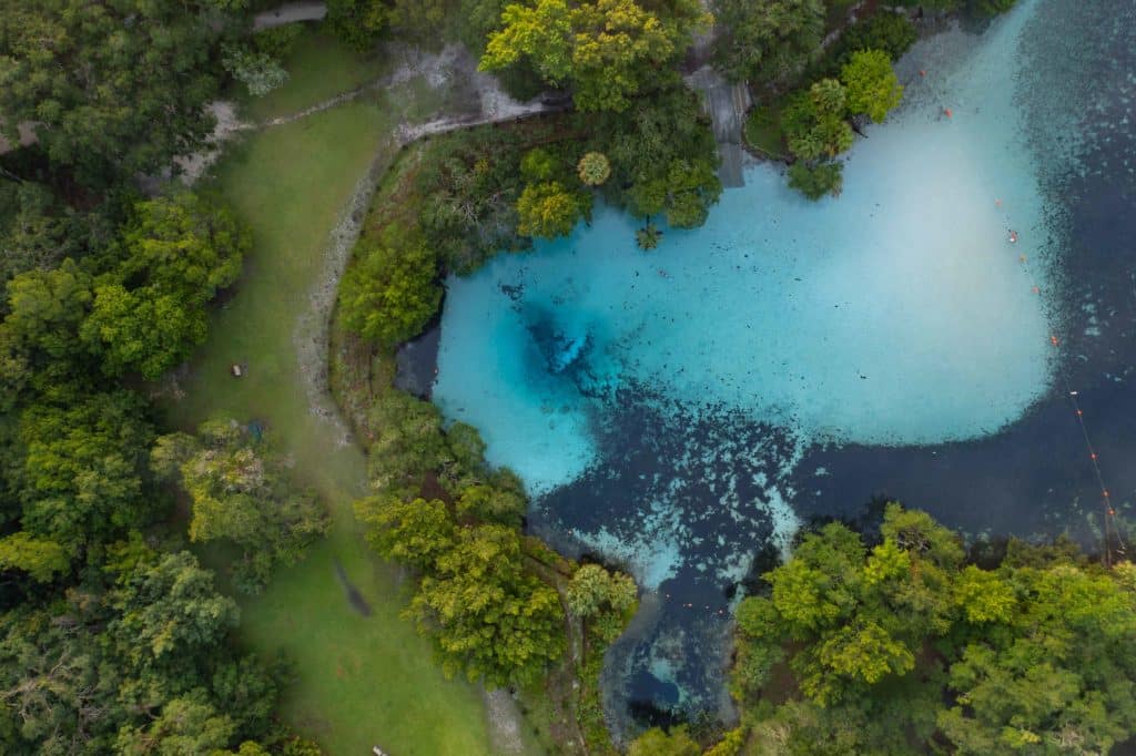A spring in the Ocala from the air.