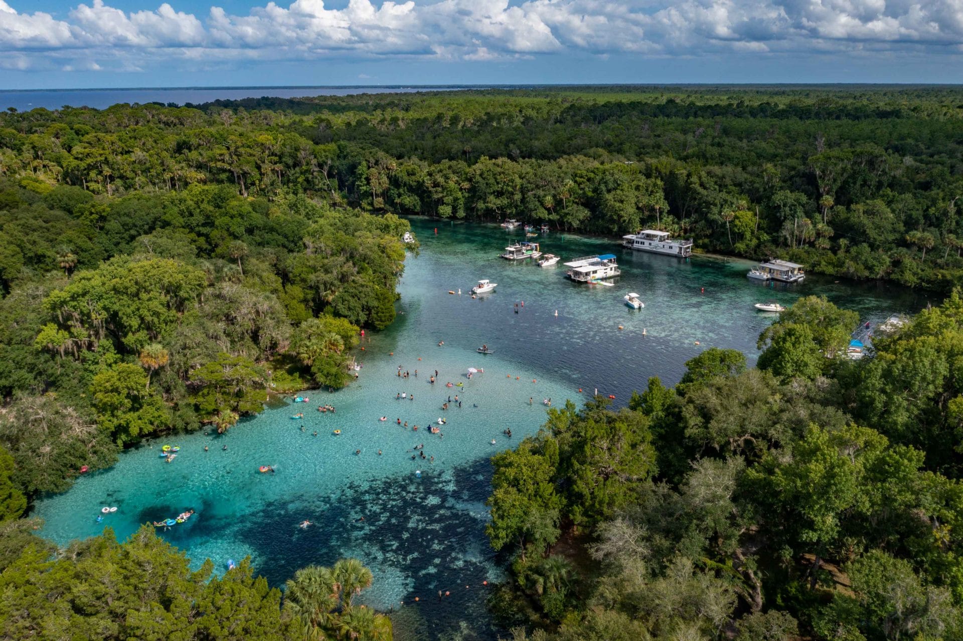 OCALA NATIONAL FOREST An (Epic) Guide to Florida's Hidden Gem