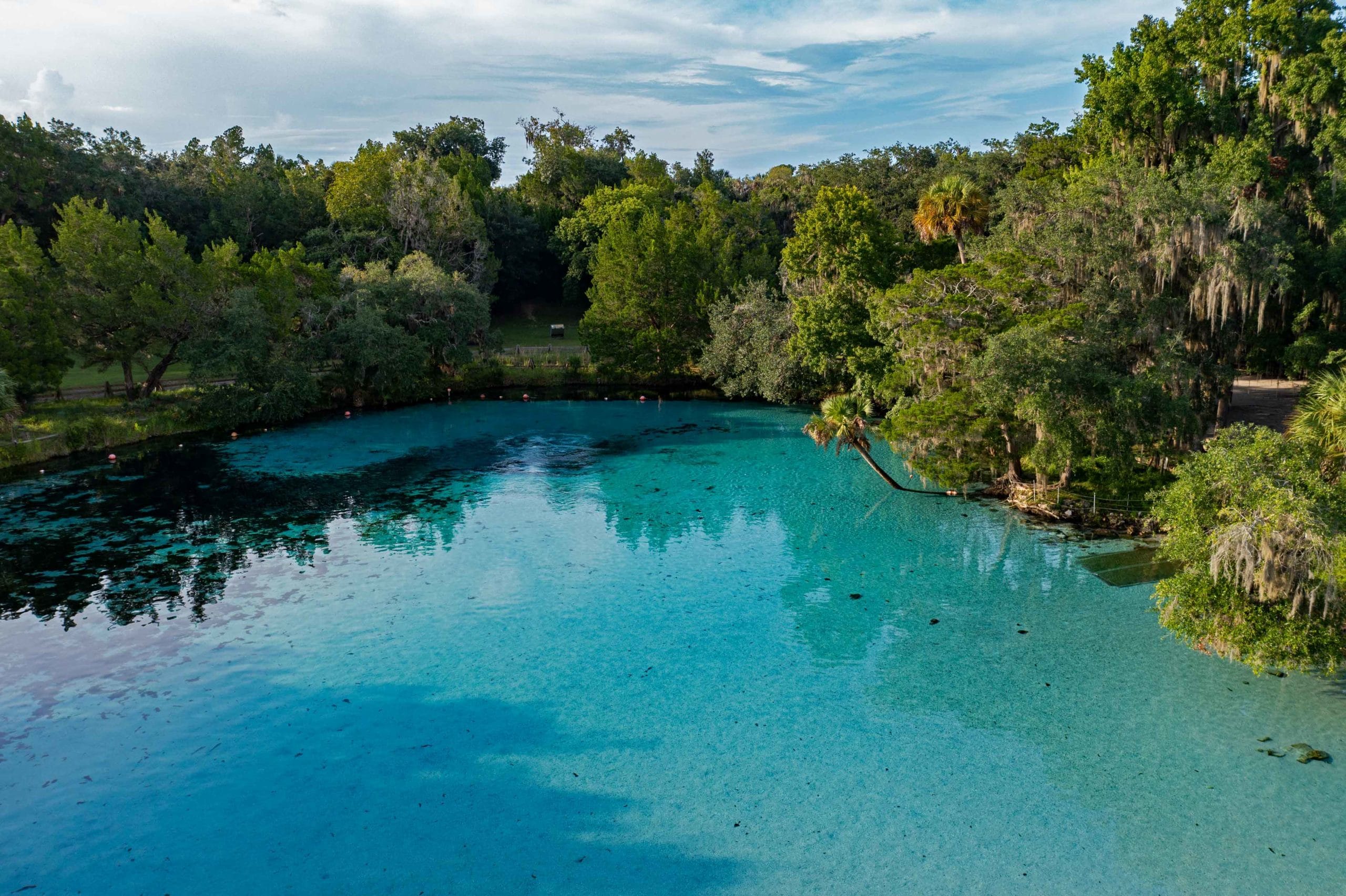 OCALA NATIONAL FOREST: An (Epic) Guide to Florida #39 s Hidden Gem OCALA NATIONAL FOREST: An (Epic) Guide to Florida #39 s Hidden Gem