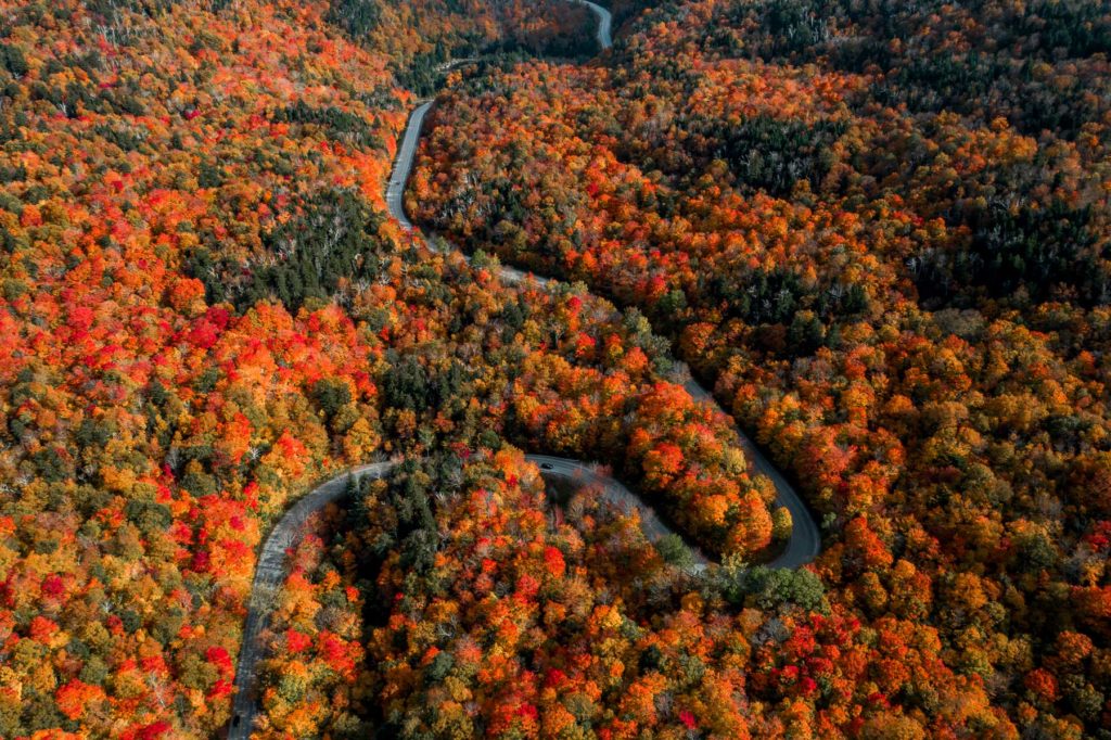 The road through Buels Gore bending across peak orange and red in the northern Green Mountains, seen from the air.