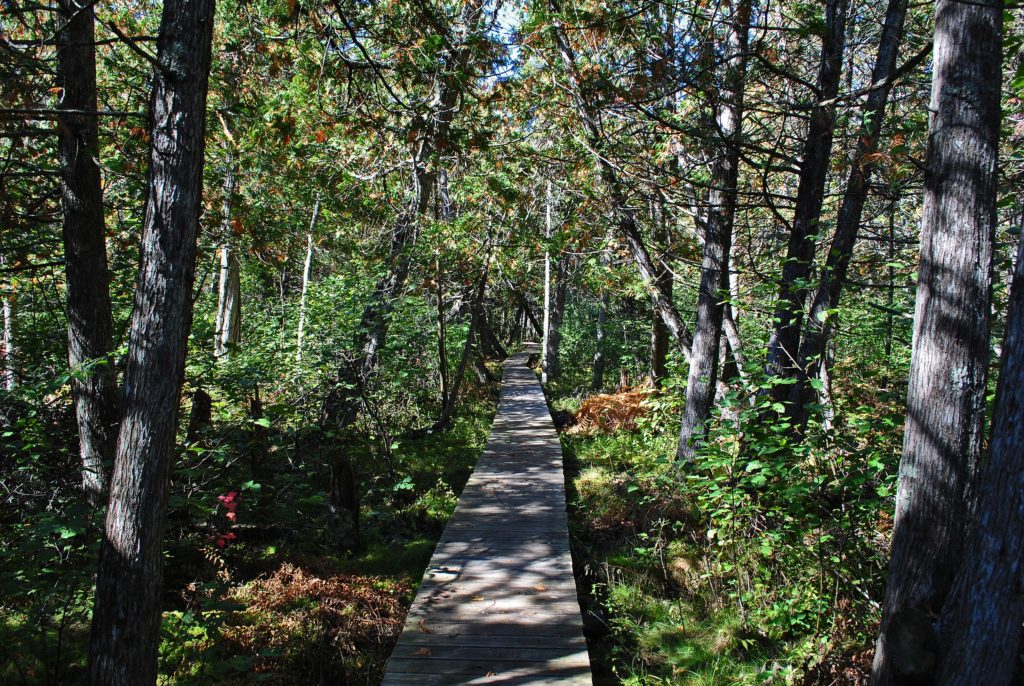 North Country Scenic Trail | Minnesota National Parks