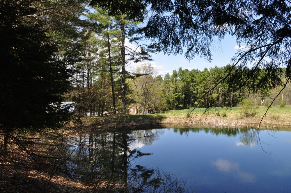 Pond at Saint-Gaudens Farm | New Hampshire National Parks