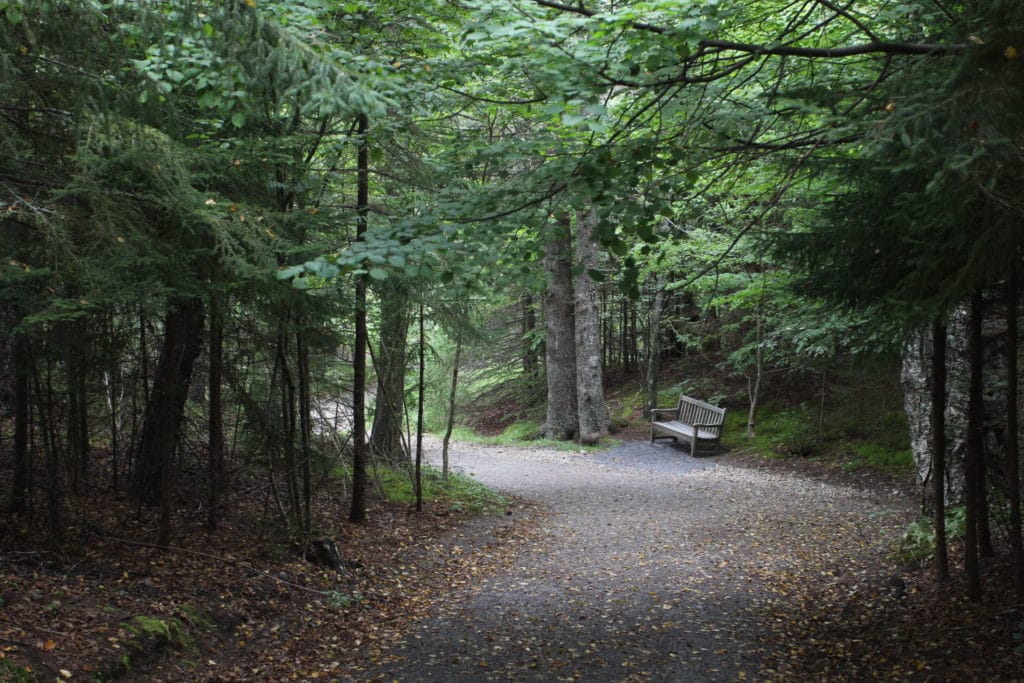 Roosevelt Campobello International Park Trail | National Parks Near Portland Maine
