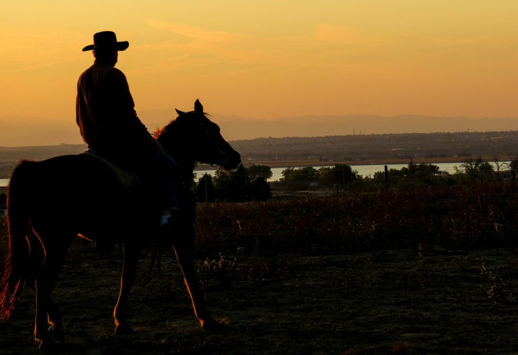 cowboy, sunset, lake-283449.jpg