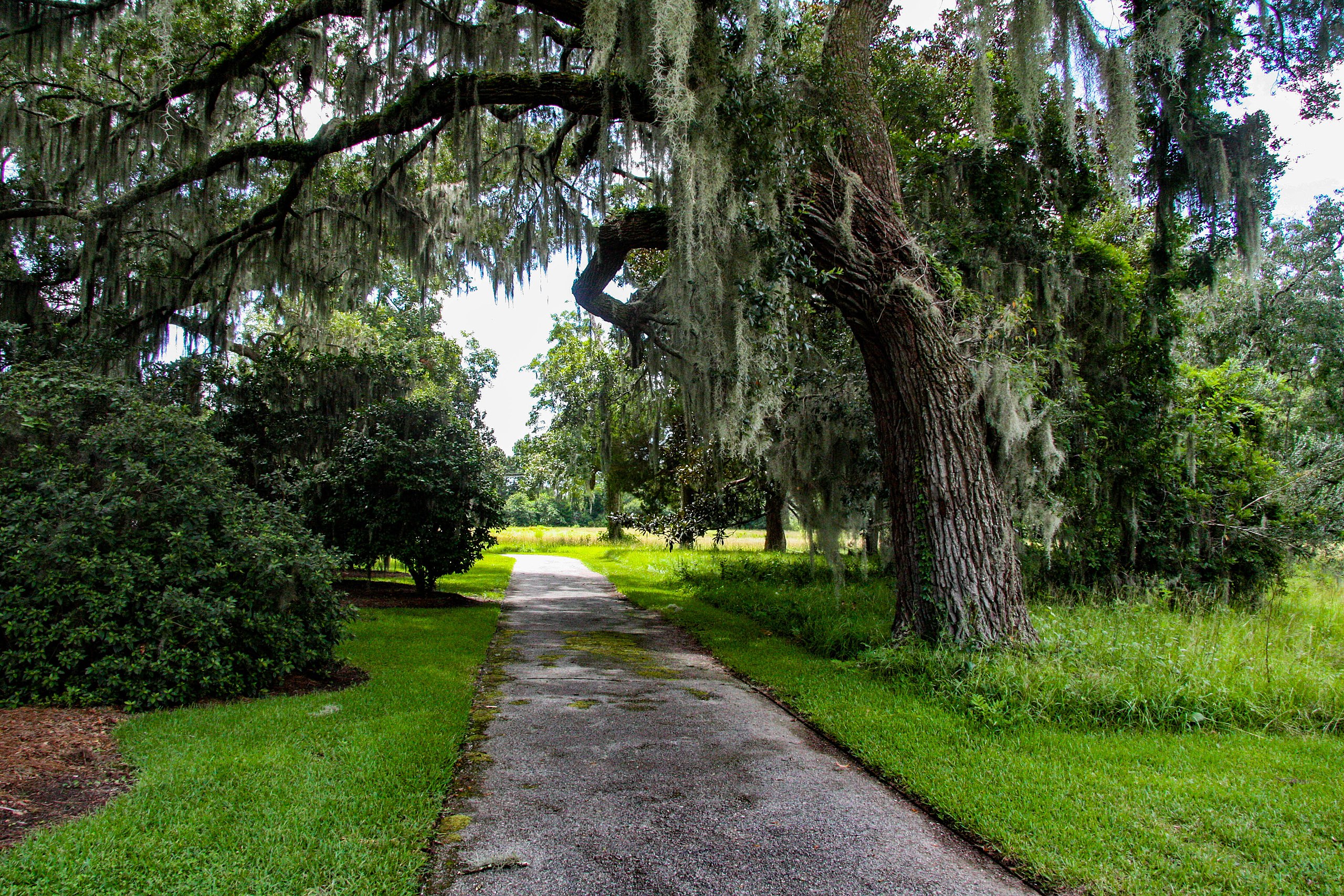 Charles Pinckney National Historic Site | Historic Sites In South Carolina