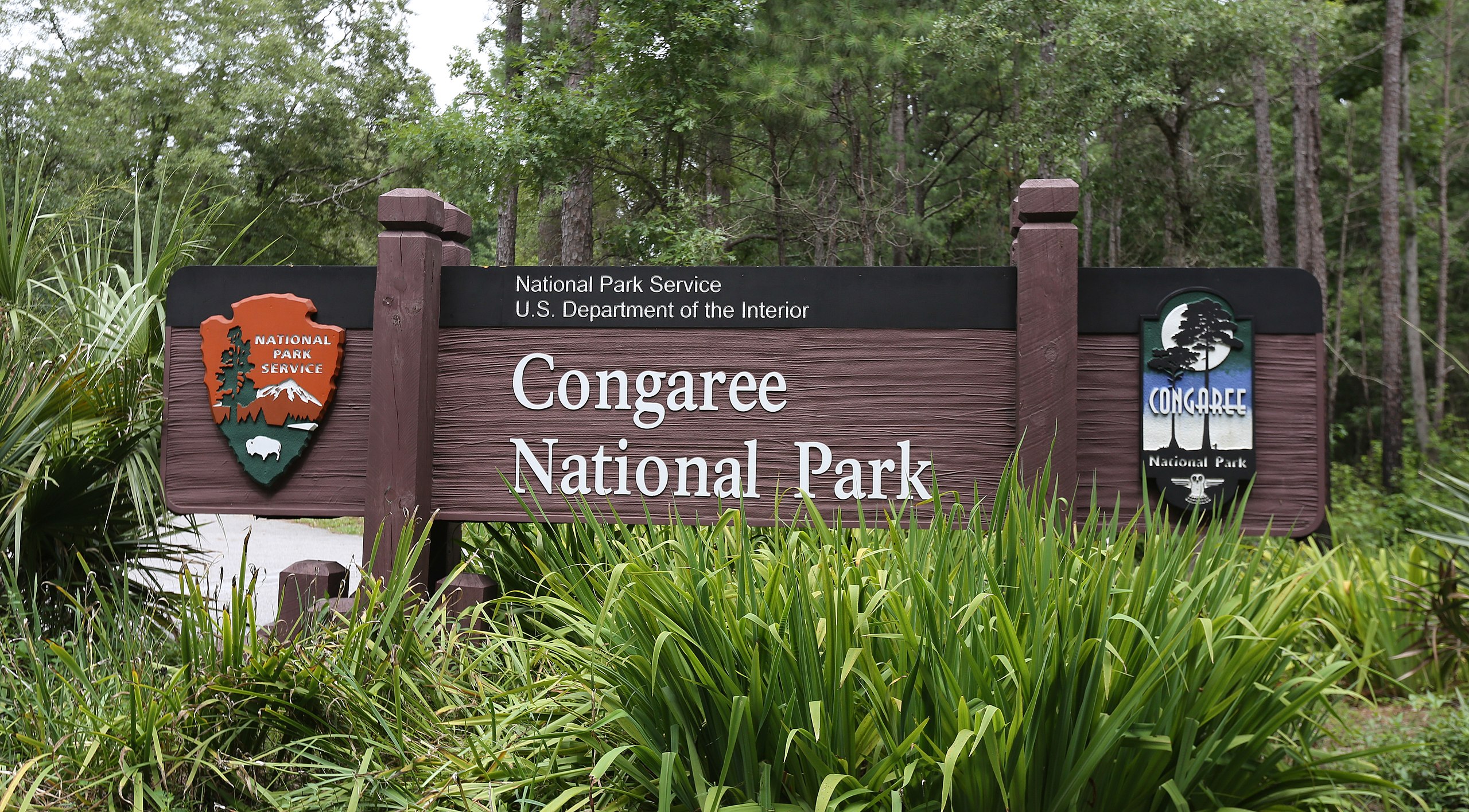 Congaree National Park | National Parks Near Charleston