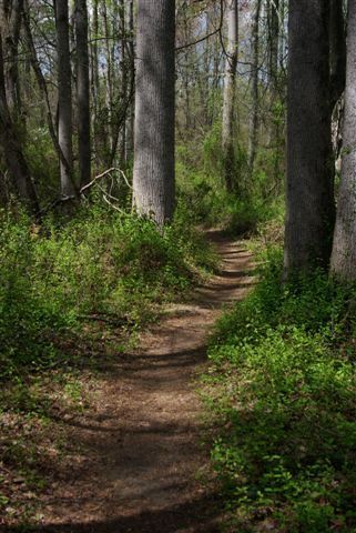 Nature Trail at Cowpens | Historical Sites In South Carolina