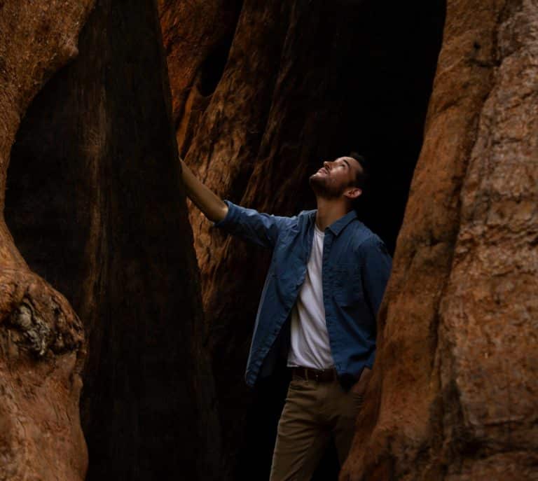 Jim Pattiz in Sequoia