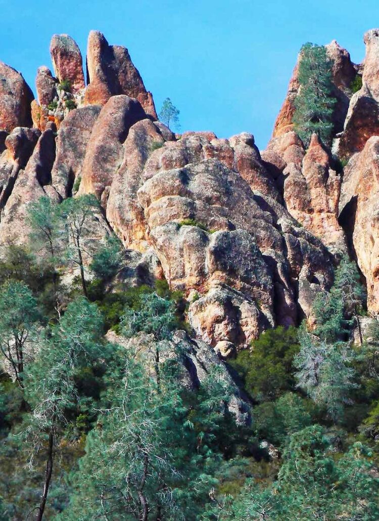10 AMAZING Facts About Pinnacles National Park