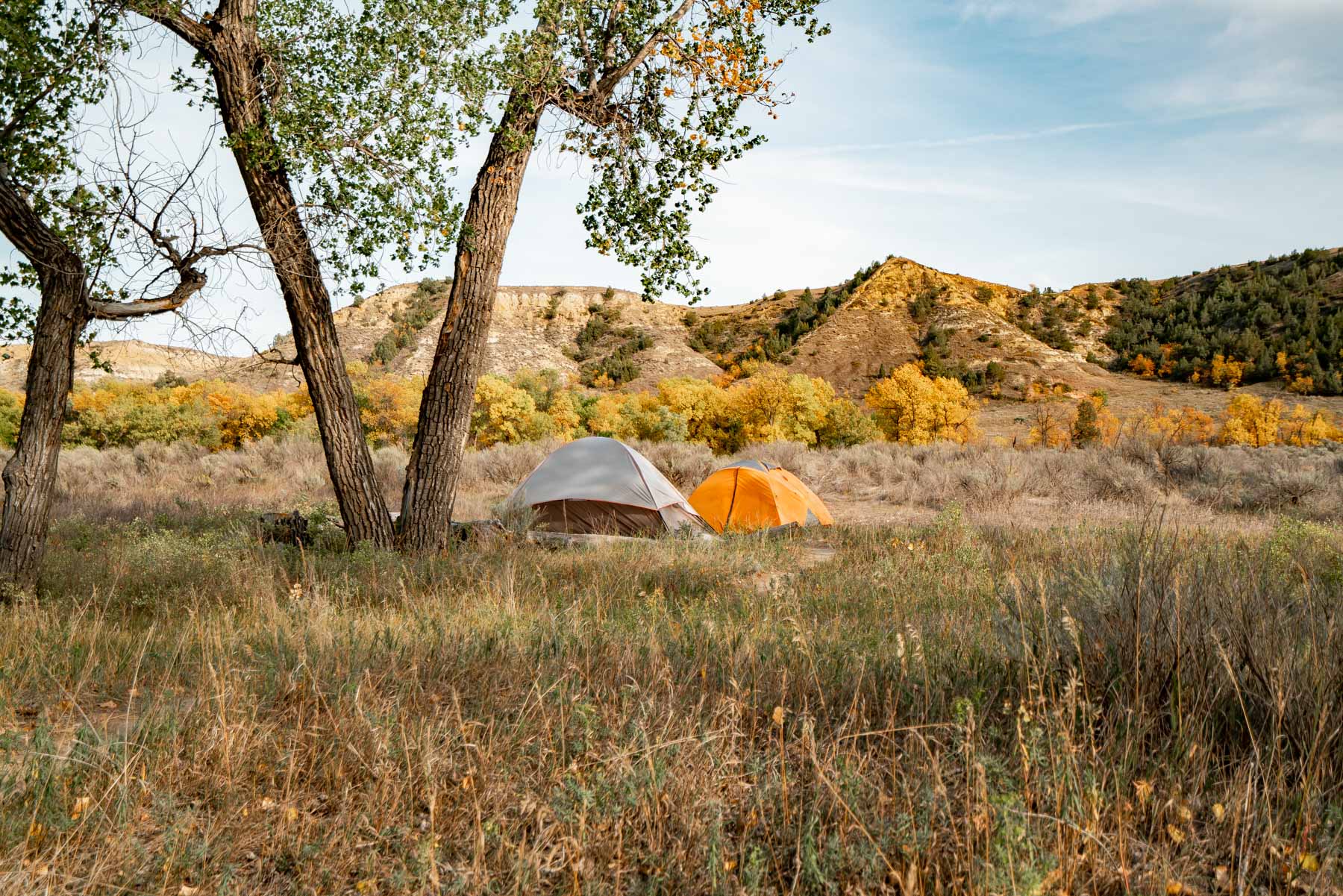 camping theodore roosevelt national park