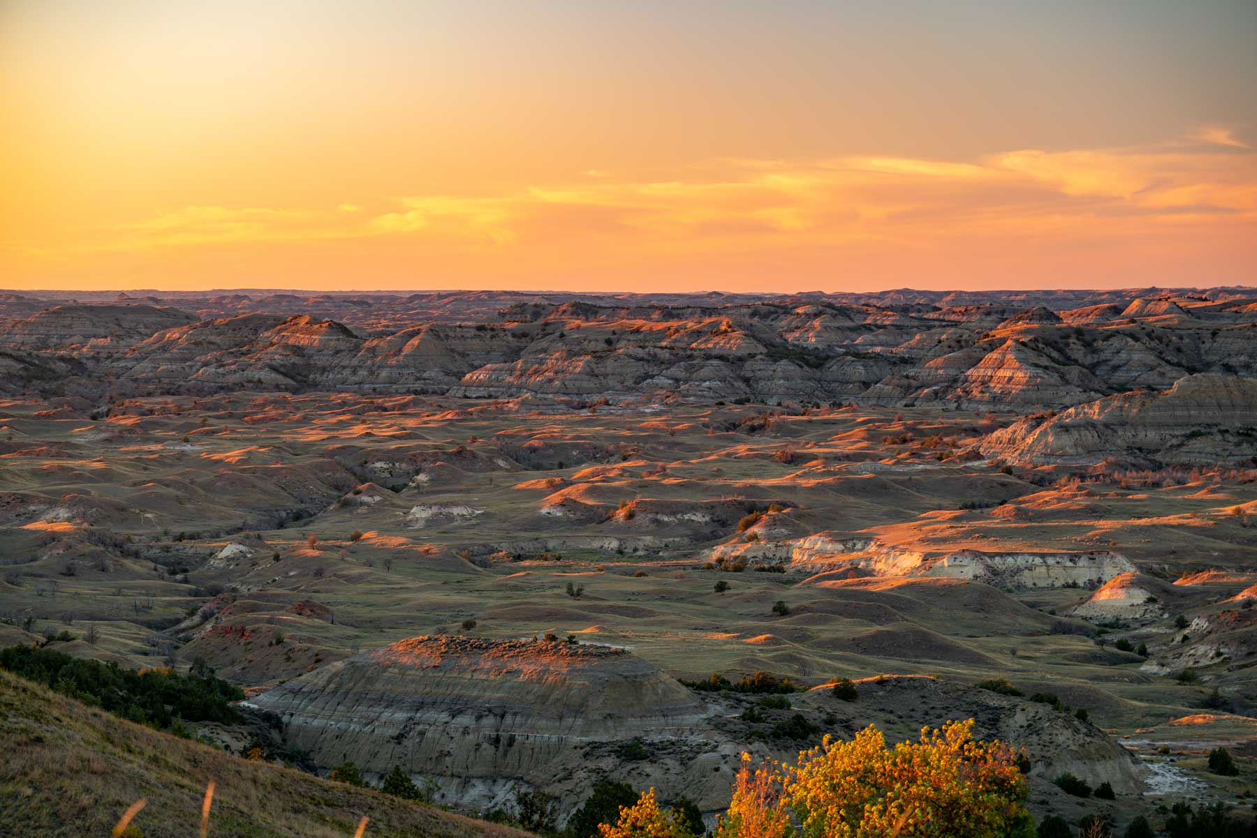 Theodore Roosevelt National Park Facts