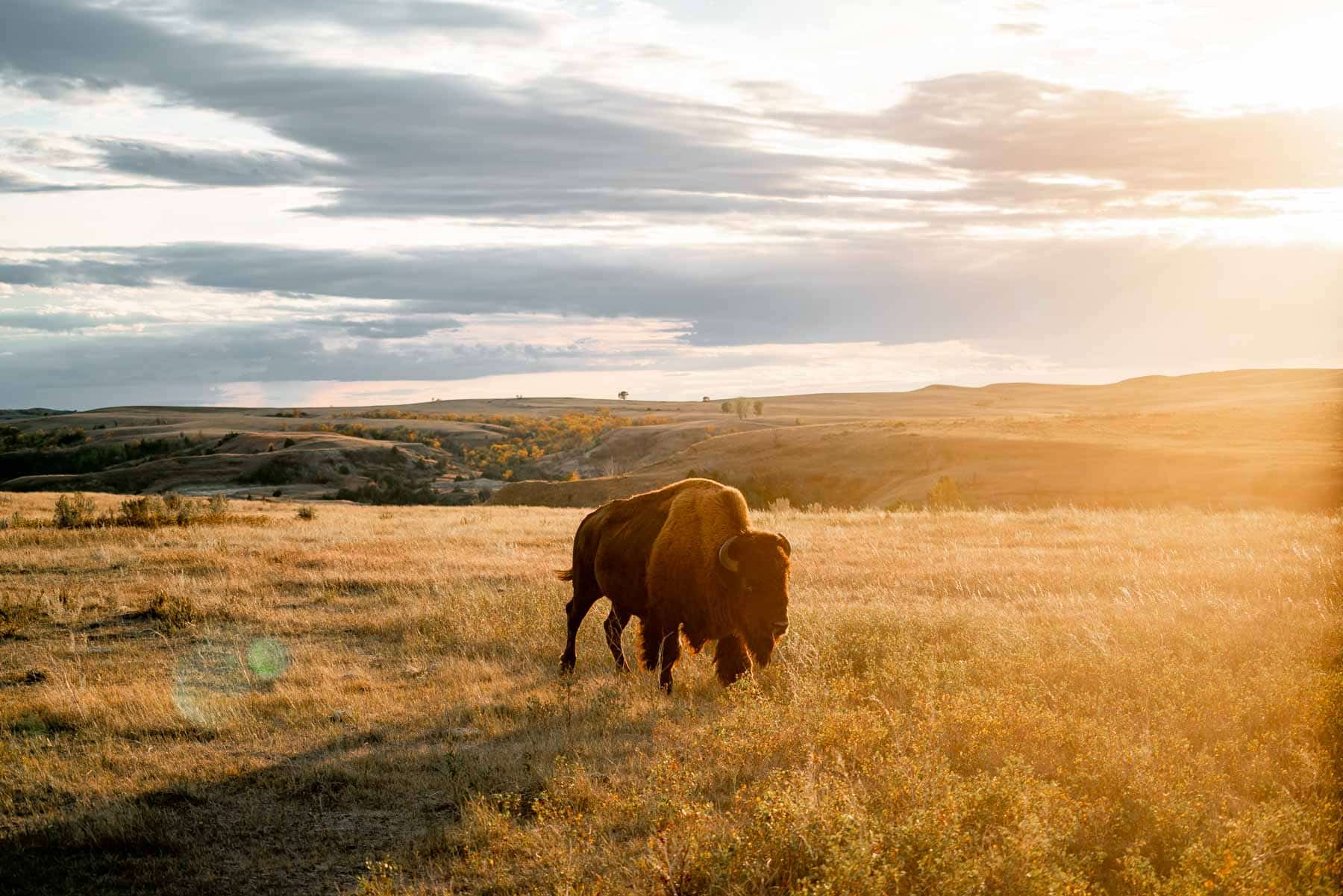Theodore Roosevelt National Park is Insanely Beautiful (Photos + Video)