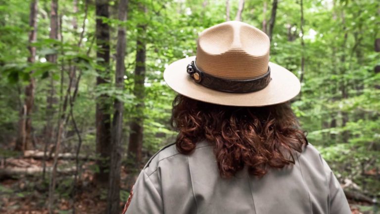 national forest vs national park