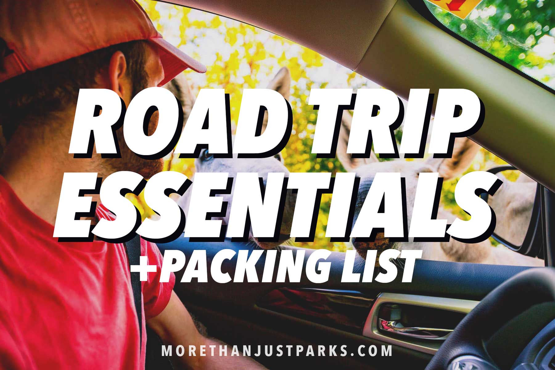 road trip essentials, road trip packing list