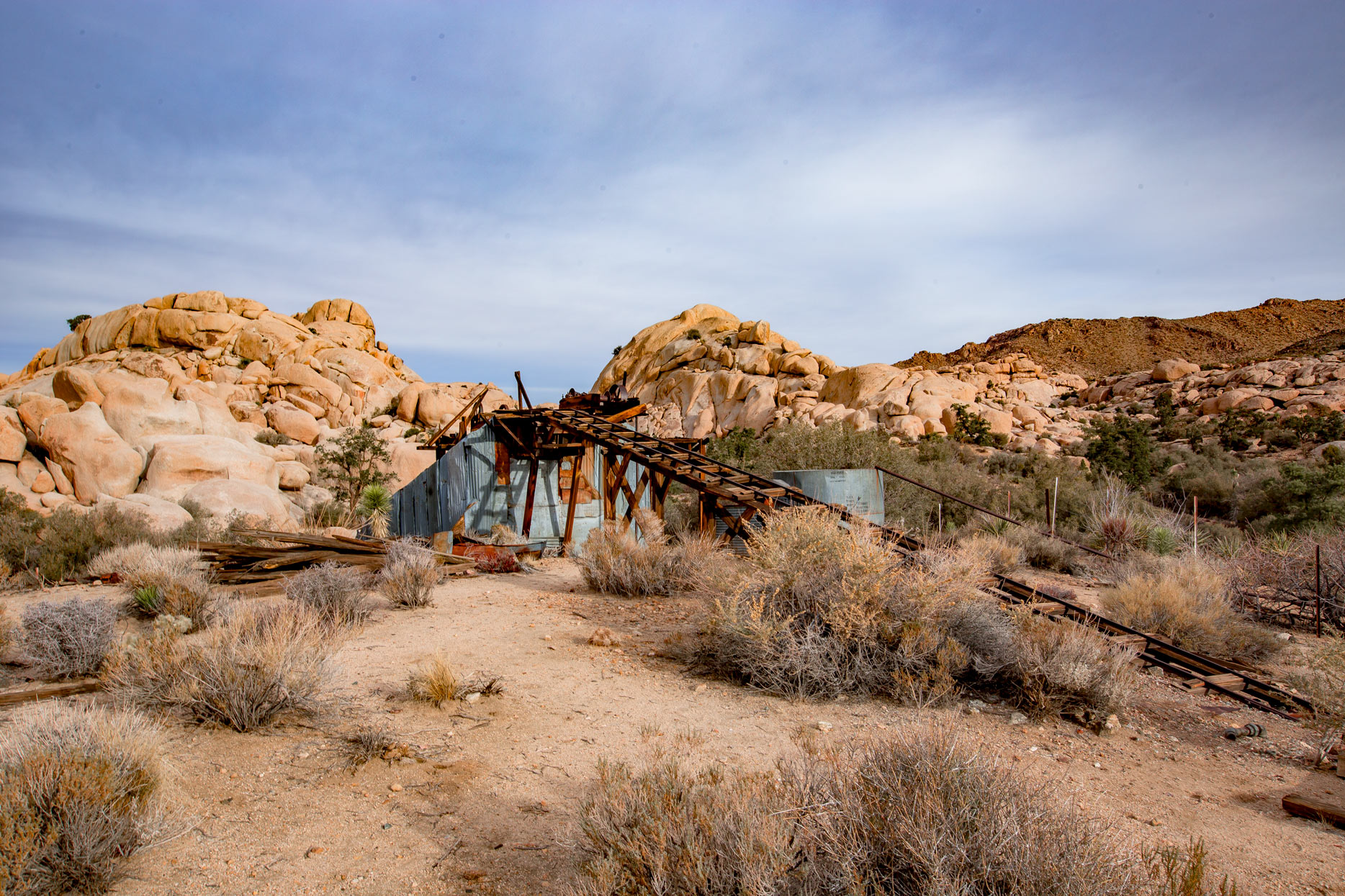 things to do in joshua tree national park