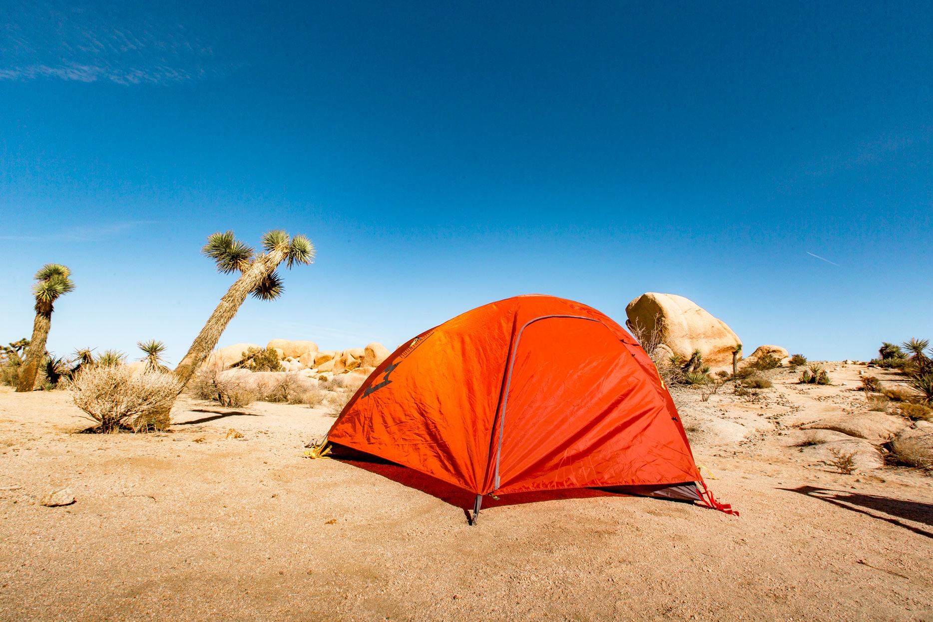 camping in joshua tree national park