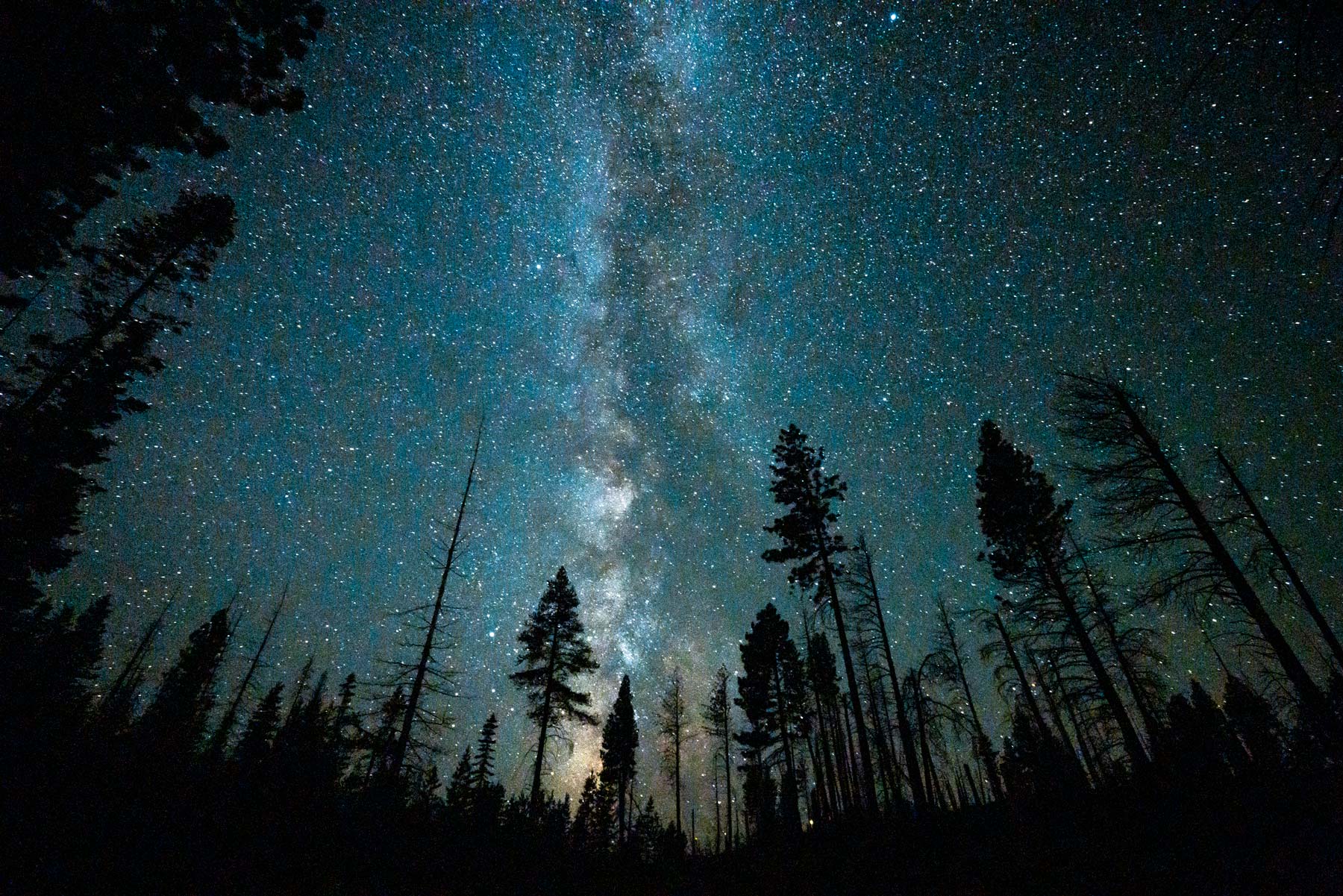 night sky stargazing deschutes national forest oregon