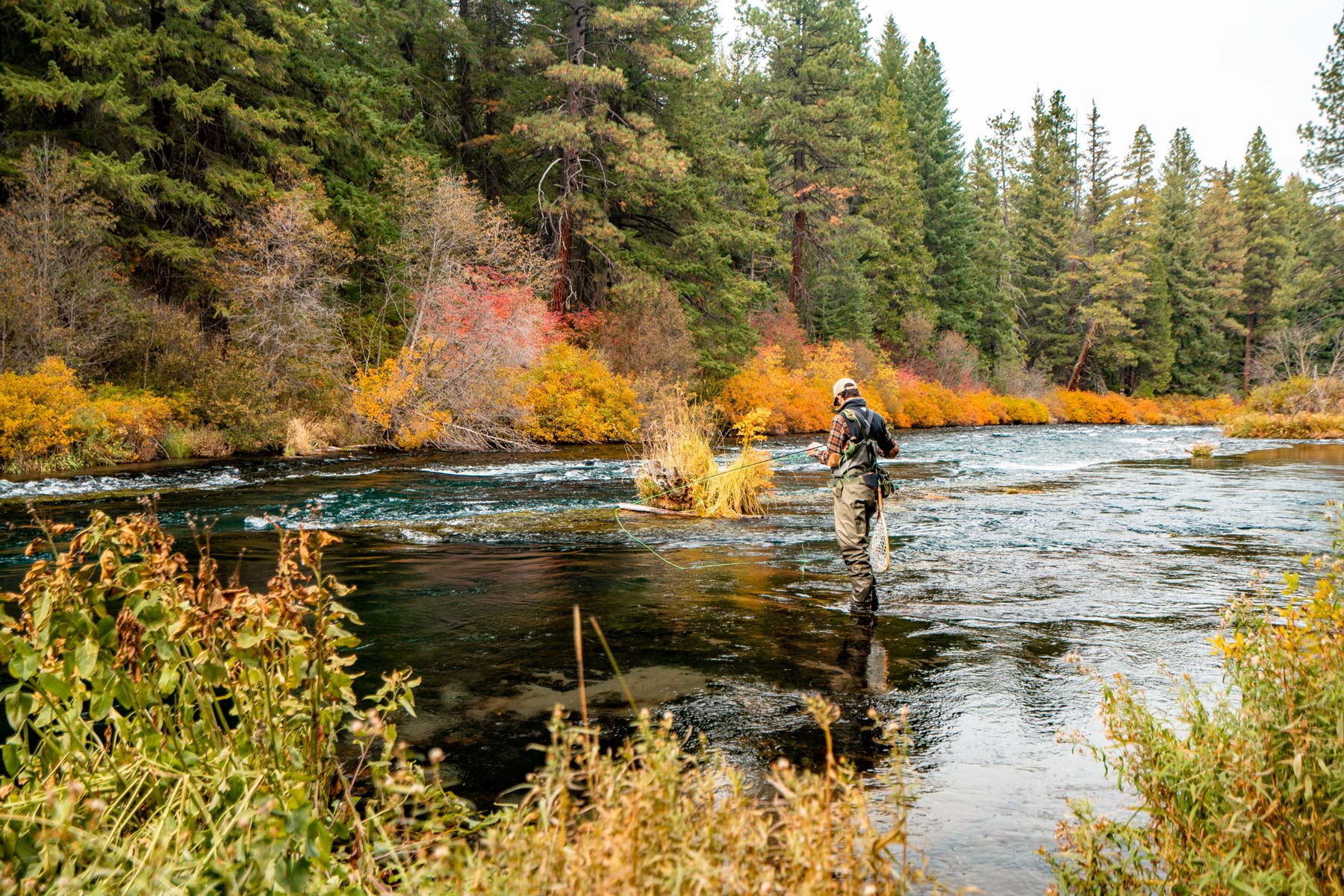 fly fishing metolius river deschutes national forest oregon