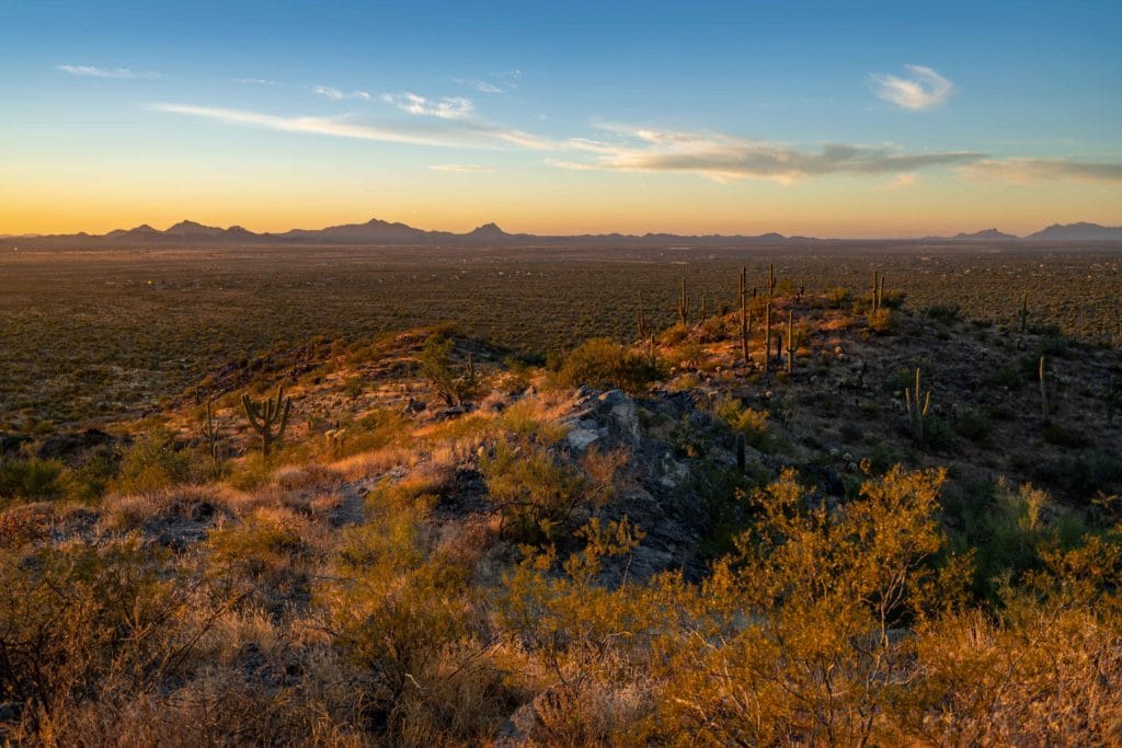 Sunset in Saguaro National Park