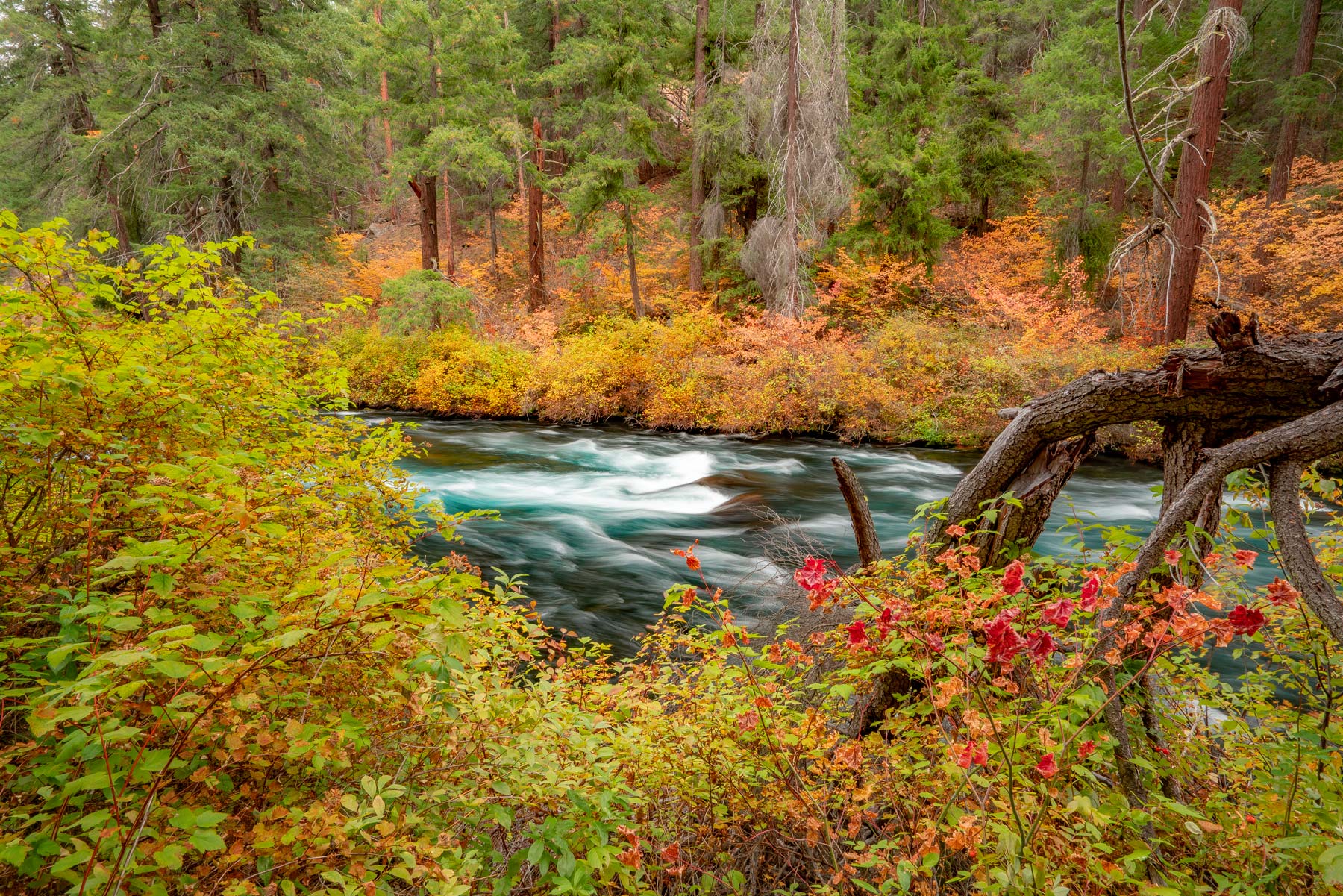 metolius river deschutes national forest in fall