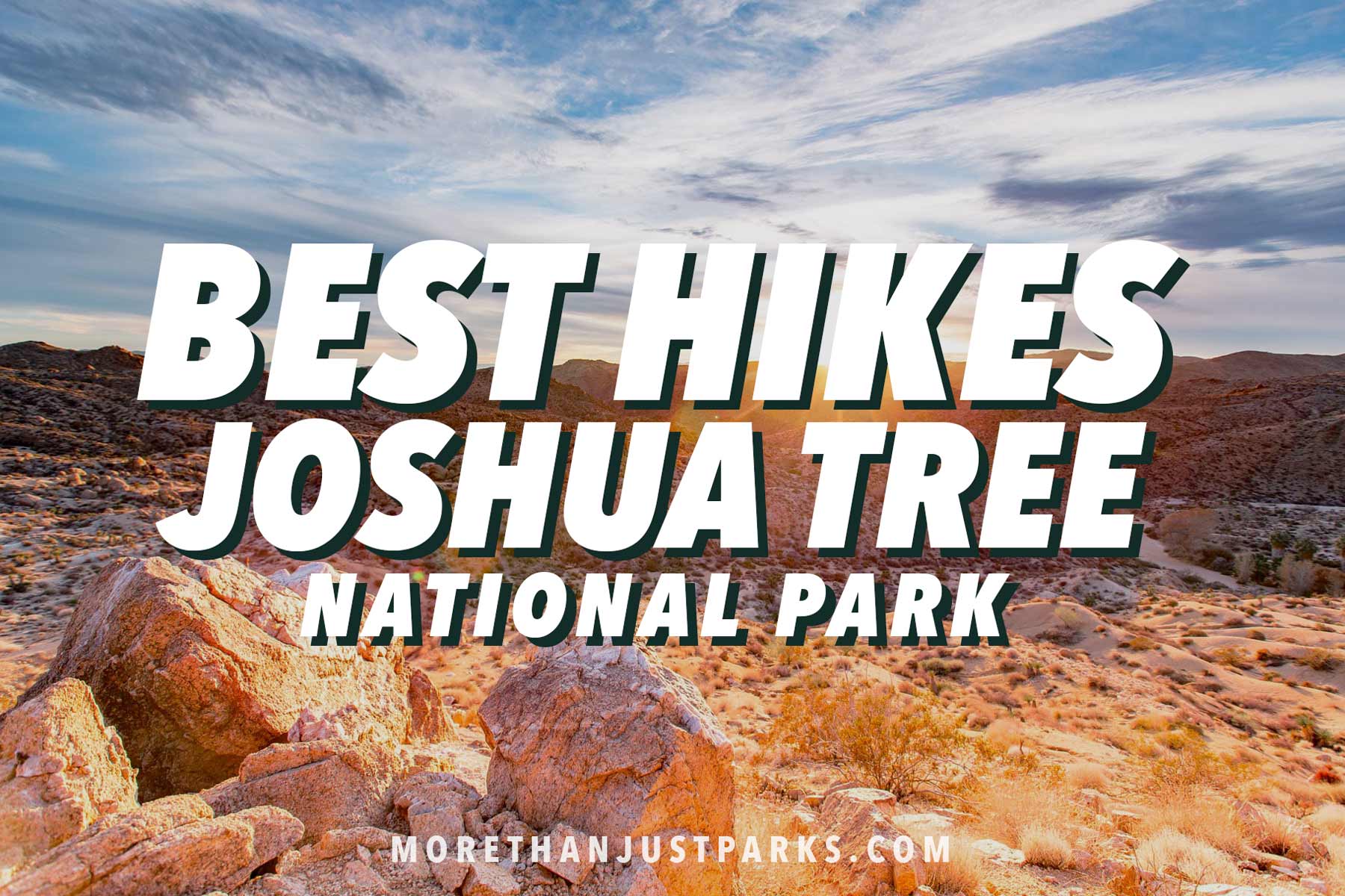 best hikes joshua tree