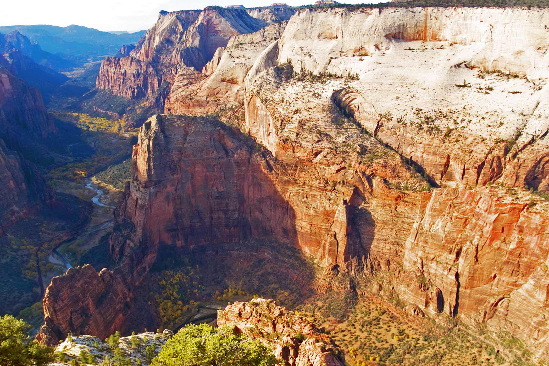 observation point trail zion national park best hikes