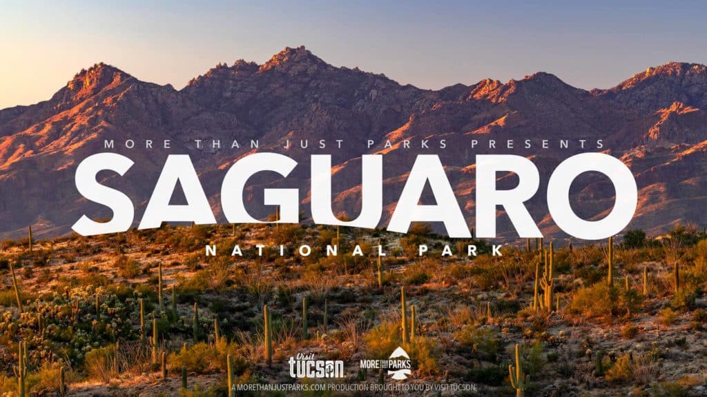 saguaro national park film