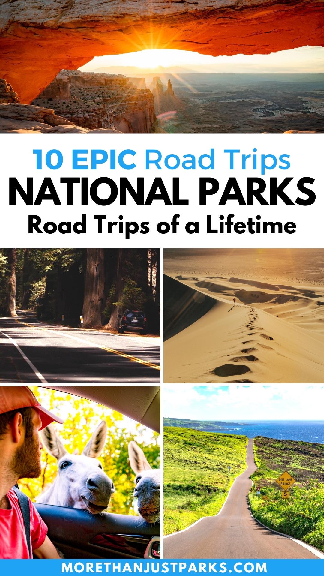 national park road trips