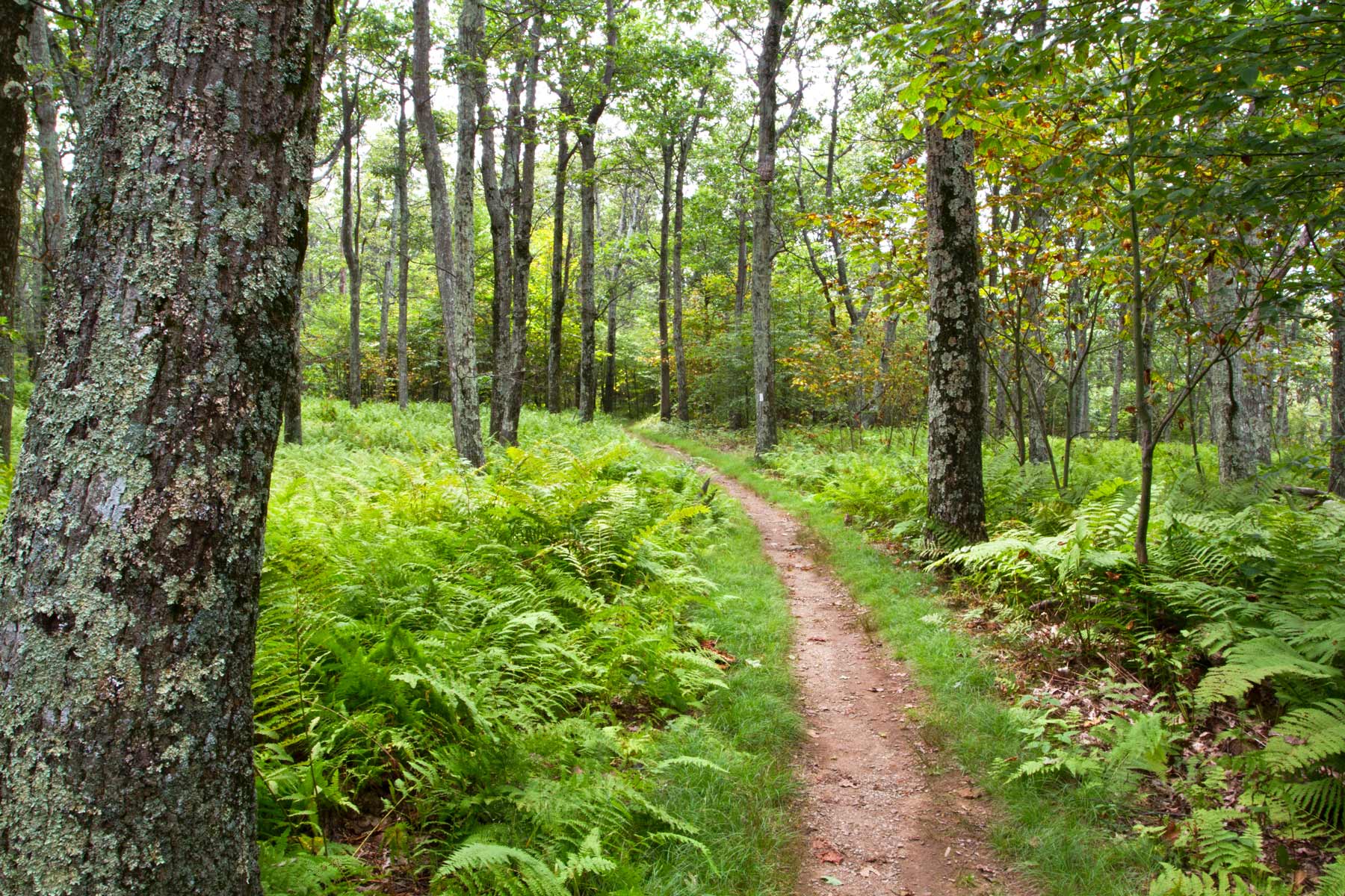 appalachian national trail | historic sites in vermont