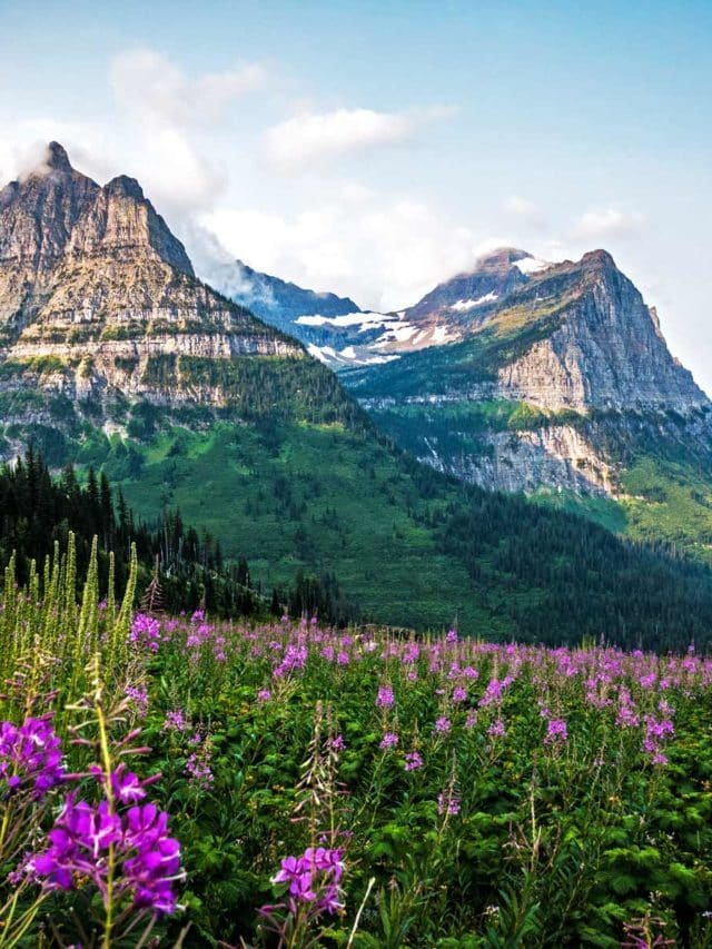 10 EPIC Things to Do in Glacier National Park