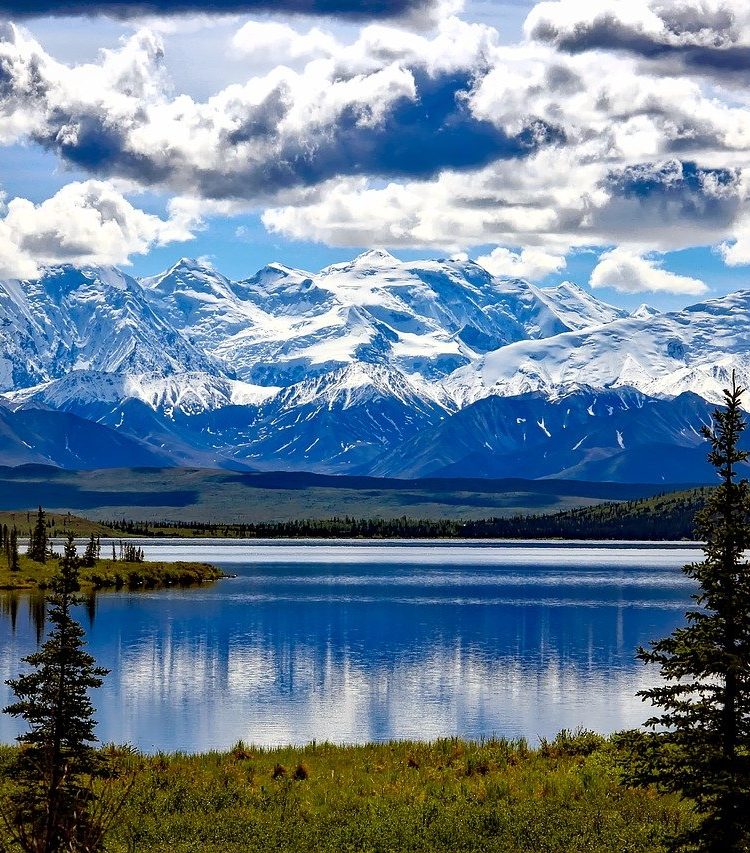 10 FASCINATING Facts About Denali National Park (Facts + Trivia)