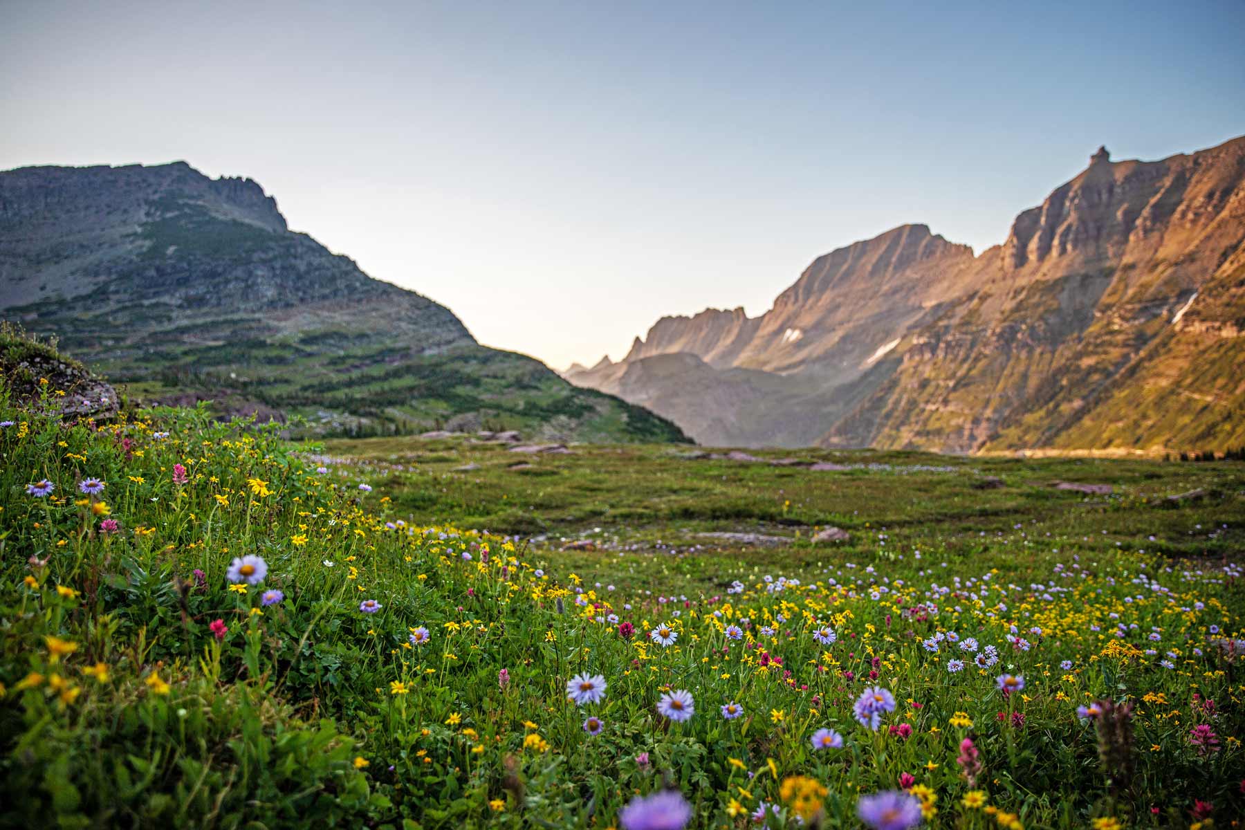 logan pass, things to do glacier national park