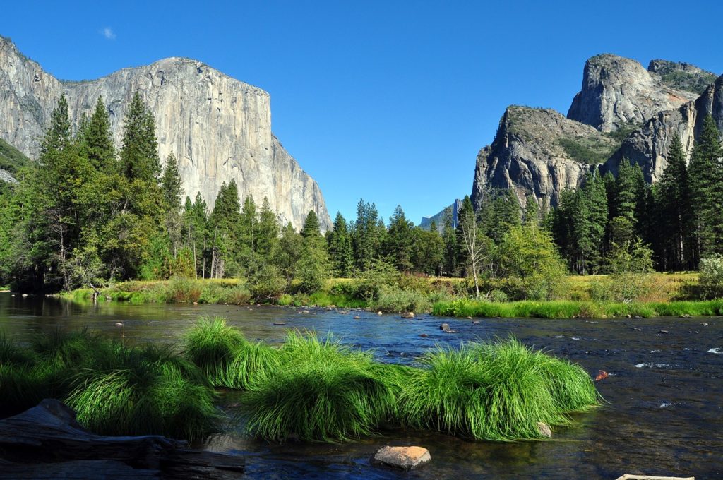 Yosemite National Park | Best Road Trip Movies