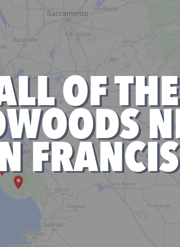 15 BEST REDWOODS NEAR SAN FRANCISCO (Rankings + Closest)