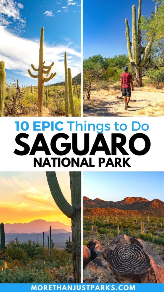 things to do saguaro national park