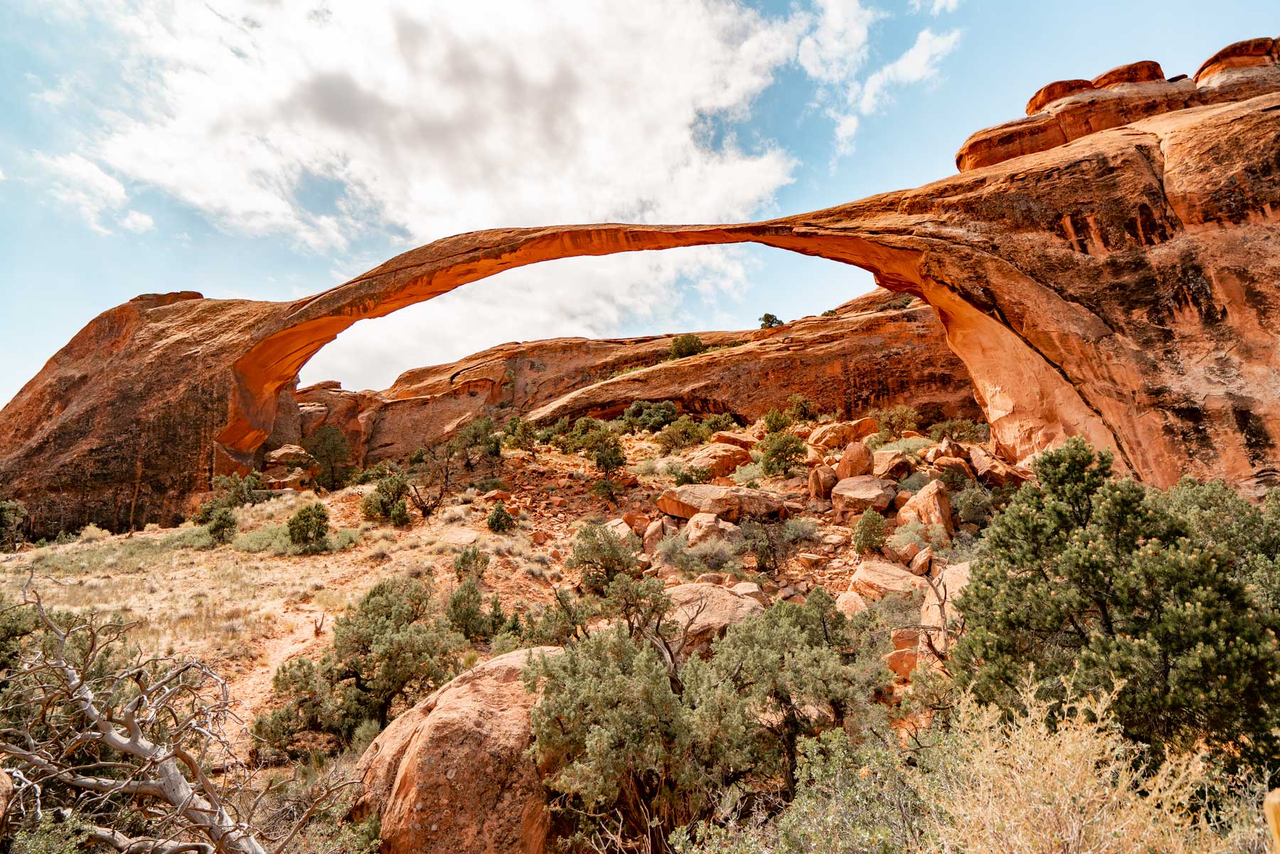 landscape arch, arches national park utah