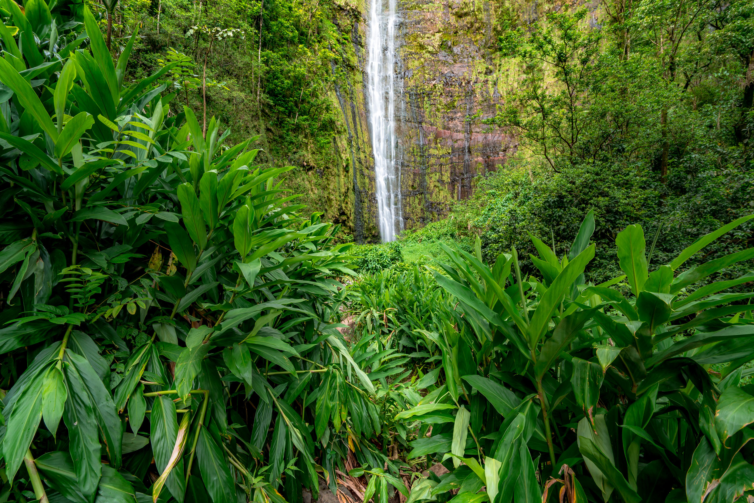 haleakala national park maui, waimoku falls