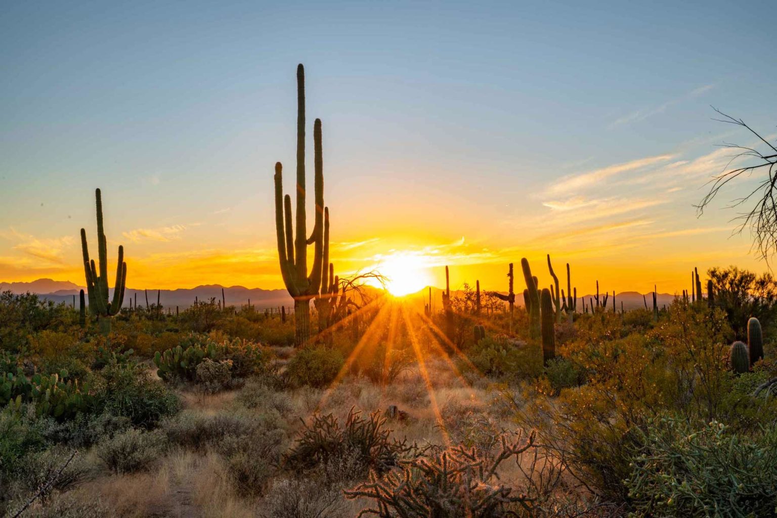 Best National Parks to Visit in October in the United States