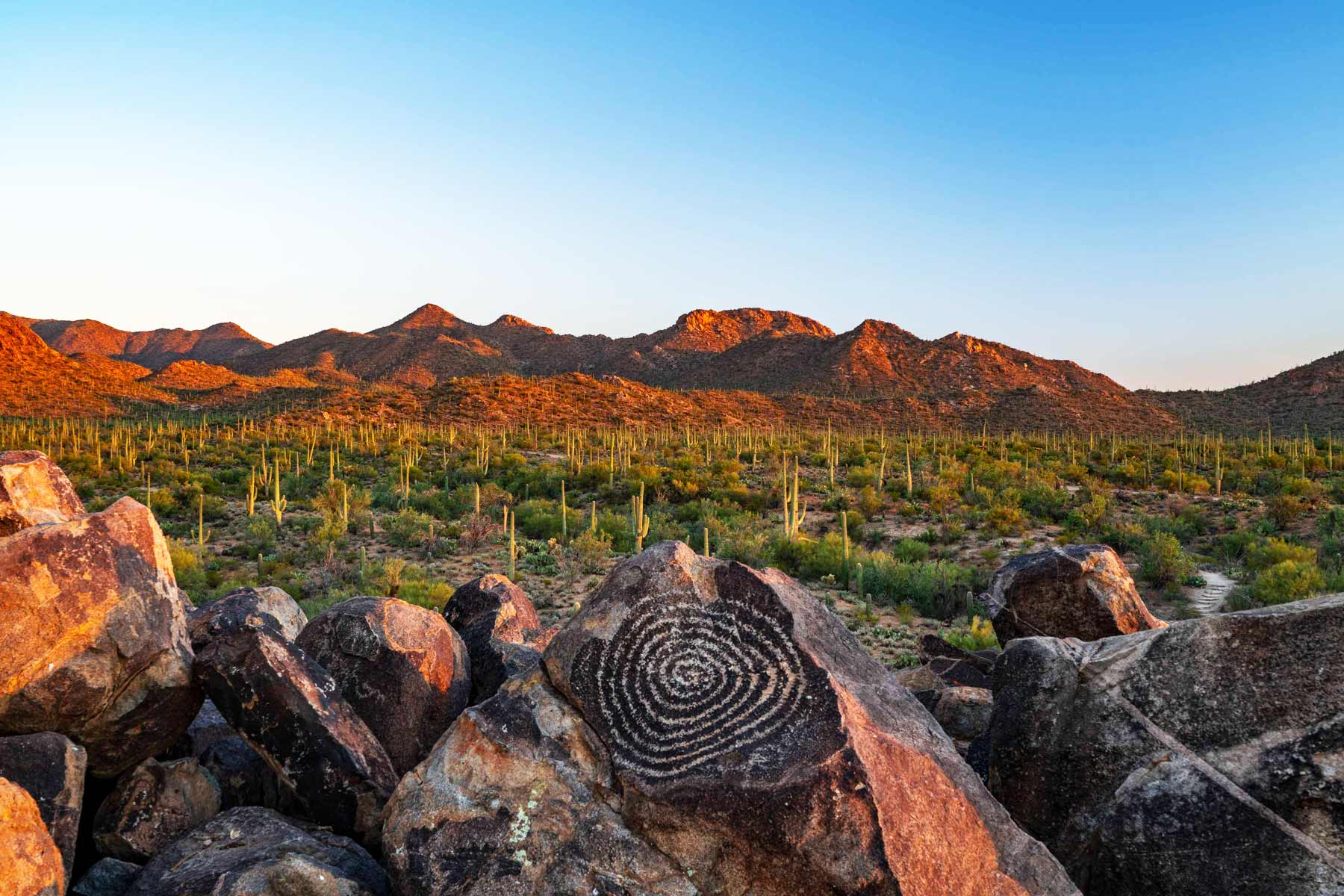 signal hill, saguaro national park tucson arizona