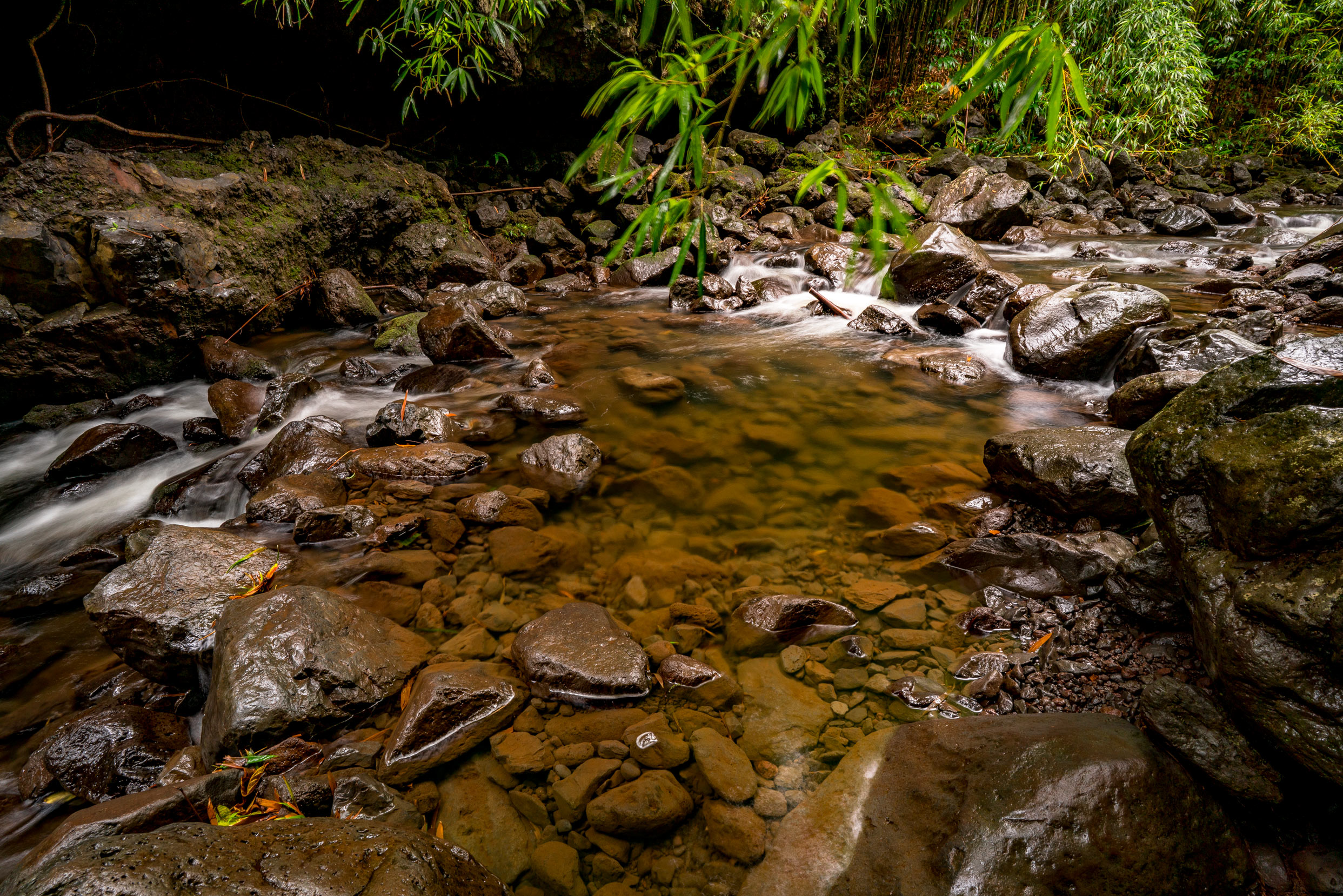 A rocky creek running through the bamboo forest in Haleakala National Park