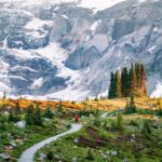 Things to Do at Mount Rainier National Park
