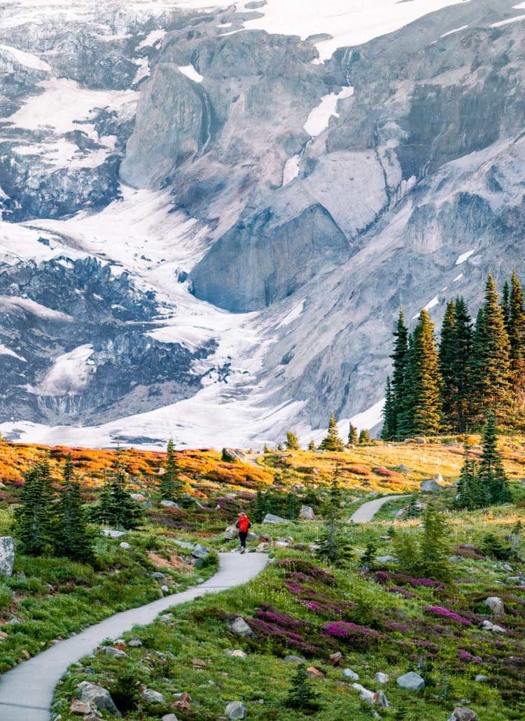 20 EPIC Things to Do at Mount Rainier National Park (Photos + Tips)