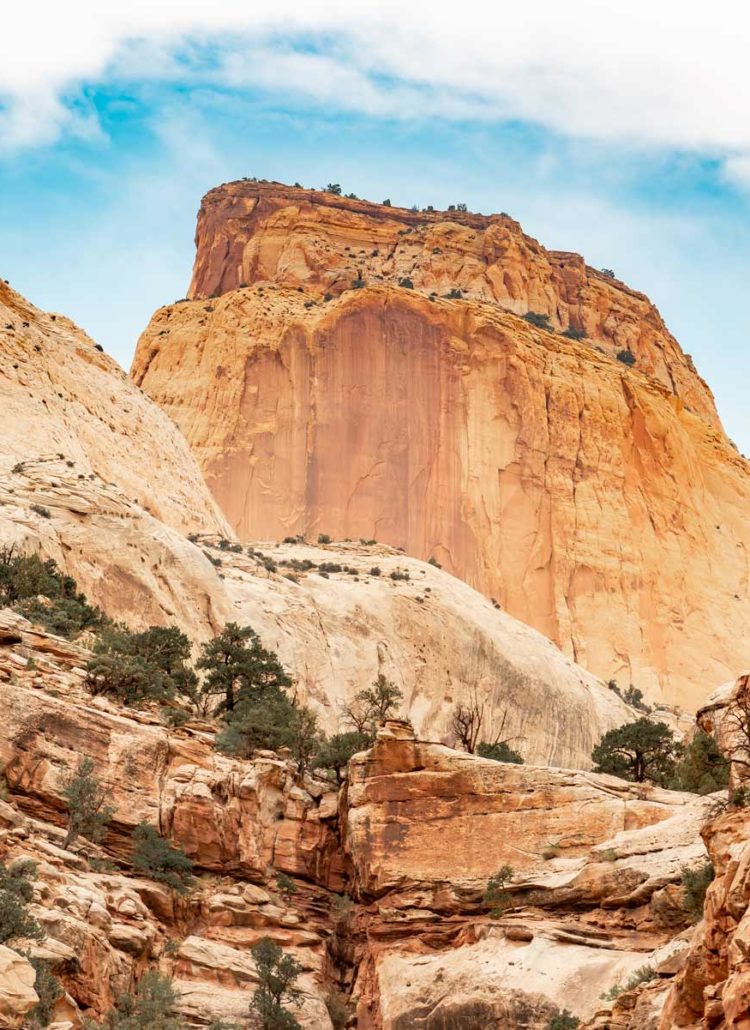 12 AMAZING Facts About Capitol Reef National Park