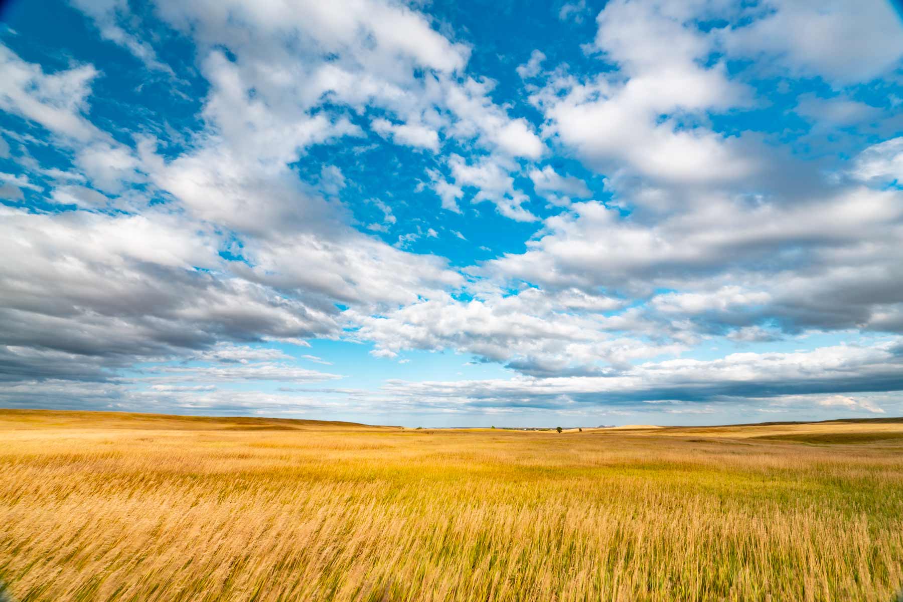 prairie wind overlook badlands national park south dakota