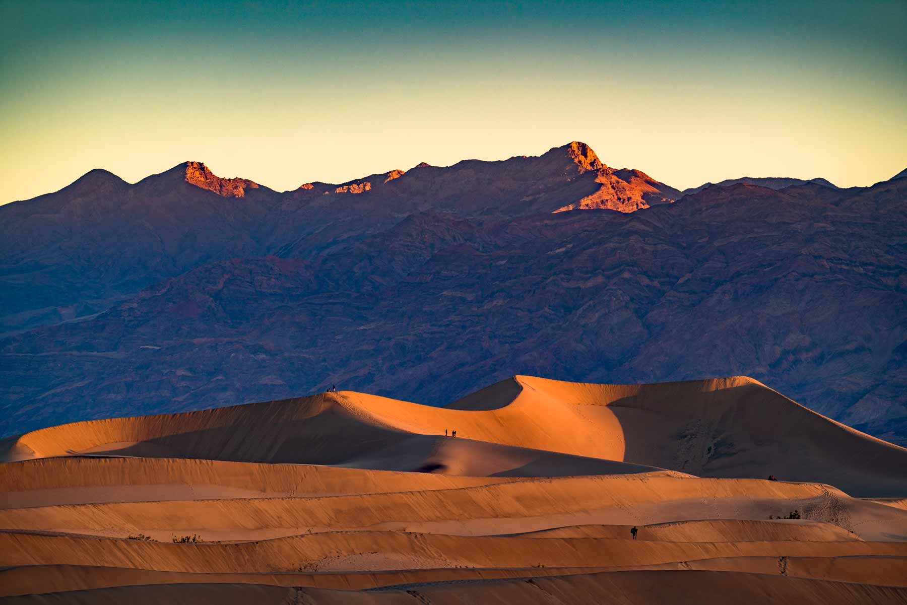 mesquite flat sand dunes death valley