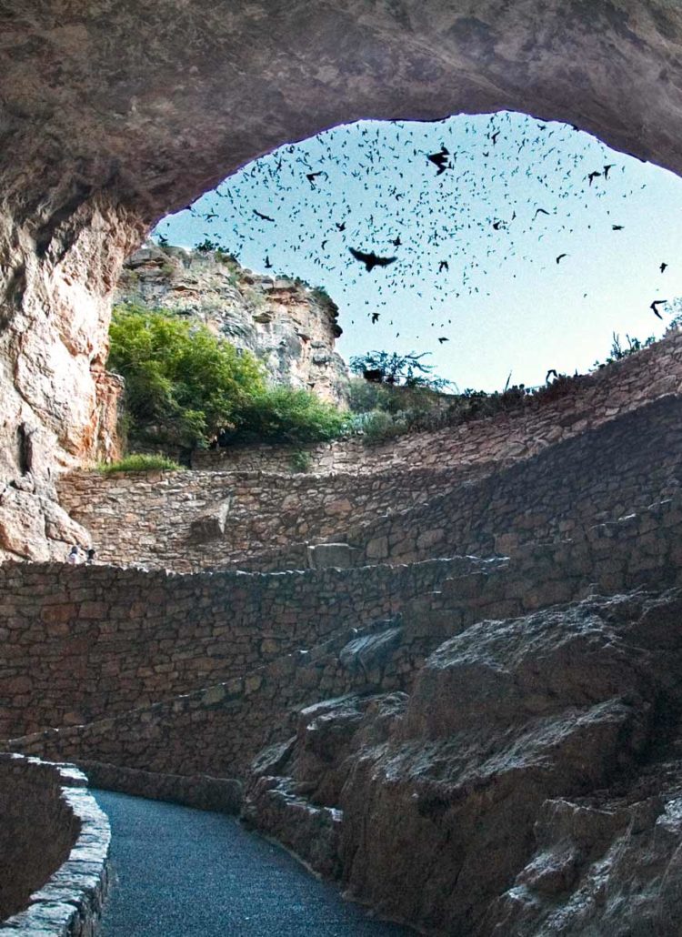 carlsbad caverns national park new mexico
