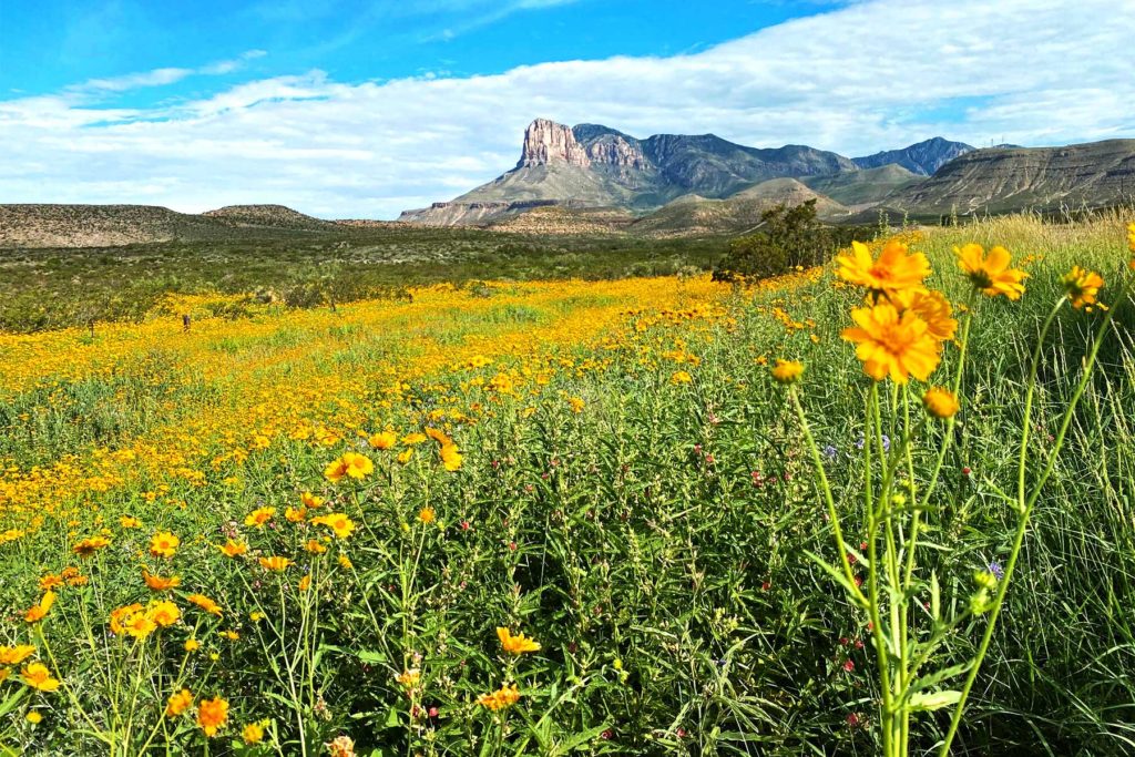 guadalupe mountains national park texas