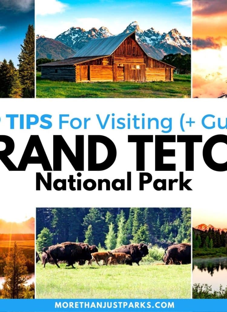 These Are the Top Tips for Visiting Grand Teton National Park 2024